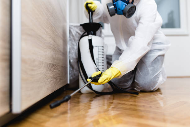 Best Best Pest Control Companies  in New Hackensack, NY