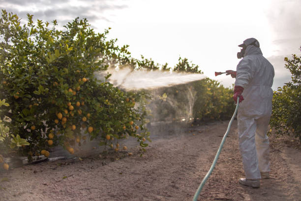 Best Residential Pest Control  in New Hackensack, NY