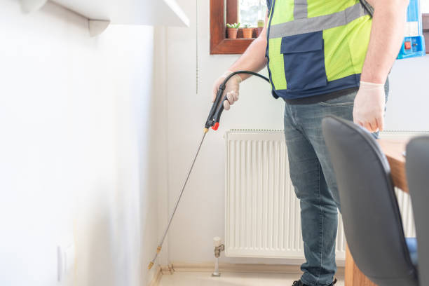 Best Affordable Pest Control Services  in New Hackensack, NY