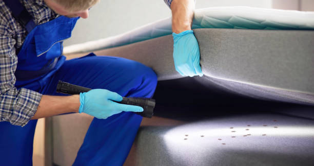 Professional Pest Control in New Hackensack, NY