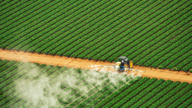 Best Commercial Pest Control Services  in New Hackensack, NY