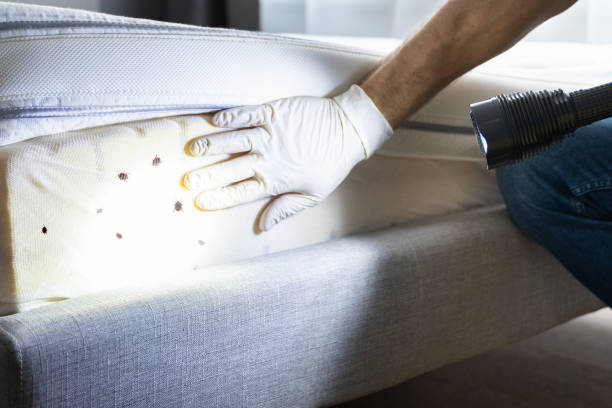 Best Emergency Pest Control  in New Hackensack, NY
