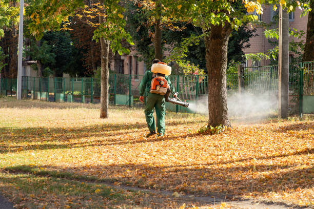 Best Best Pest Control Companies  in New Hackensack, NY