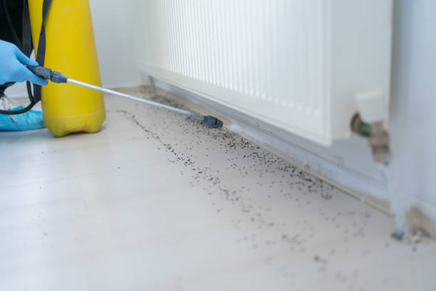 Best Pest Control Near Me  in New Hackensack, NY