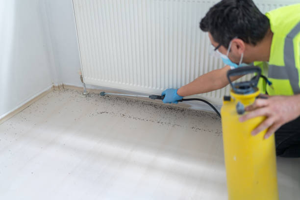 Best Pest Removal Services  in New Hackensack, NY